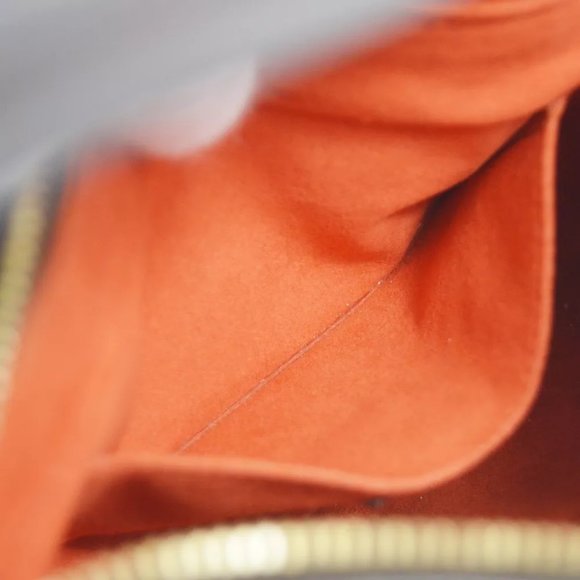 Louis Vuitton Damier Sauvage Tiger Handbag - Picture 8 of 10